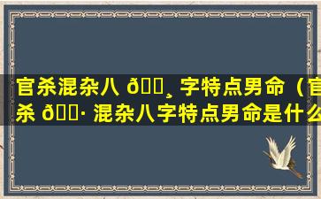 官杀混杂八 🌸 字特点男命（官杀 🌷 混杂八字特点男命是什么）